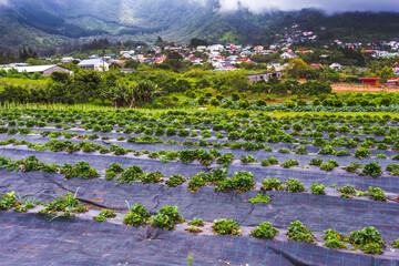 Village desMakes, île de la Réunion 