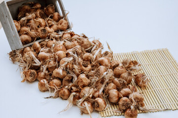 Pile of saffron bulbs poured from a box on a white background.