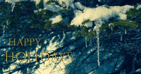 Christmas and New Year holidays. Happy Holidays golden lettering with evergreen tree background....