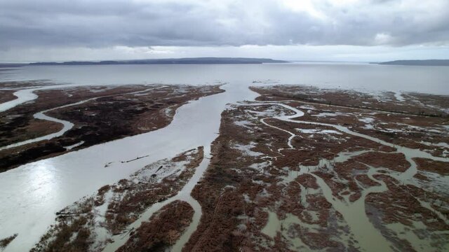 Swampy Wetlands in Washington State Aerial View with River Meeting Ocean