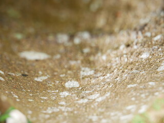 close up detail of resin tree with blur