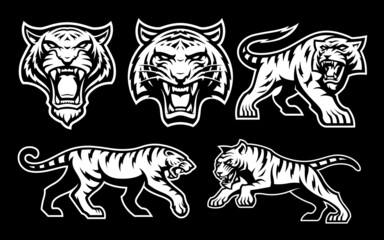 Vector tigers mascots Set