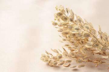 Silk atlas soft tender beige color fabric with dried flower branch macro