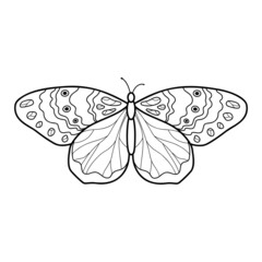 Coloring book or page for kids. Butterfly black and white vector