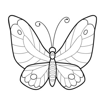 Coloring book or page for kids. Butterfly black and white vector