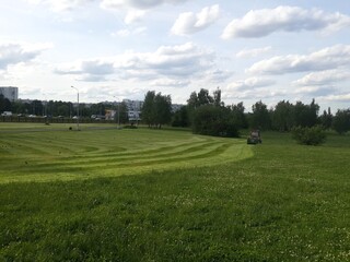 Fototapeta na wymiar Tractor mows grass in a meadow