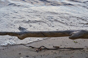 an abstract trunk of an old tree on a sandy shore - 475292069