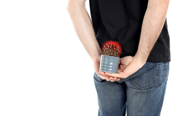 Man holds cactus, isolated on white background. Hemorrhoids concept
