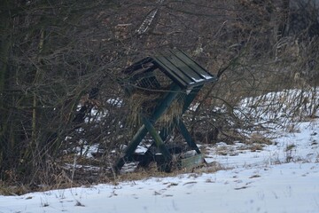 Feed rack for forest animals on the edge of the forest in winter