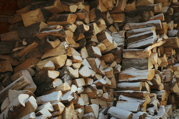 Pile of folded firewood outdoor in winter day