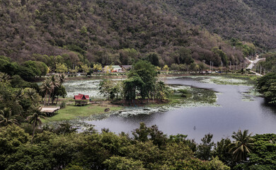 Obraz premium Aerial landscape of swamp lake in the middle of dense green forest the valley. Focus and blur.