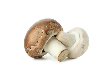 Tasty champignons mushrooms isolated on white background