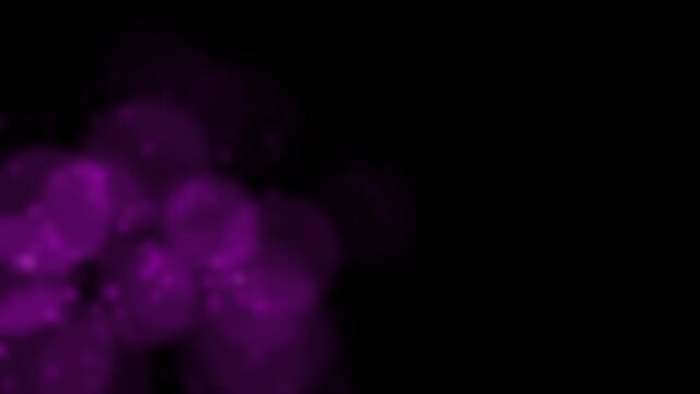 Purple circles on black background 4k footage, Abstract circles footage