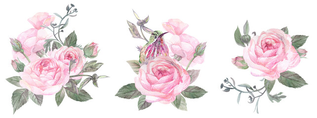 Set of vintage floral compositions with watercolor tender roses and hummingbird bird isolated on white background © Марина Воюш
