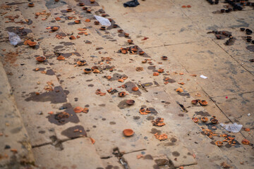 Broken Diya on the Ghat of Varanasi on the next day of Dev Deepawali