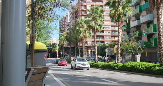 Road traffic in Barcelona. Palm trees and residential buildings during the day. City with cars