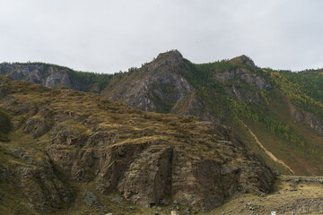landscape in the mountains
