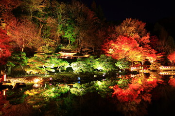 岩手県奥州市　えさし藤原の郷　紅葉ライトアップ