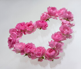 Pink roses Heart shape.on white background.Rose is a flower symbol represents love, romance in Valentines Day