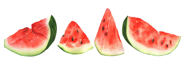 set of watercolor fruits. watermelon, pieces of red watermelon. isolated objects on white background. hand drawing for window dressing, books and postcards.