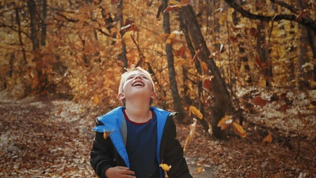 Cheerful and sweet little boy collects fallen autumn leaves and tosses.