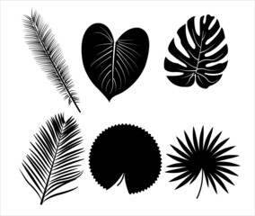 Black and White Vector Set of Summer Leaves  Shape of leaves vector silhouette