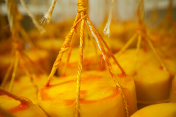 CHEESE AND MILK FACTORY. High quality photo