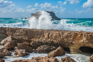A strong November wind drives roaring waves to the shore, tearing white foam from them. Waves crash...
