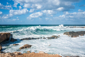 A strong November wind drives roaring waves to the shore, tearing white foam from them. Waves crash...