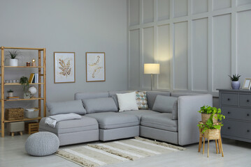 stylish living room interior with comfortable grey sofa and plants