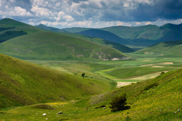 Obraz premium Piano Grande di Castelluccio, mountain and rural landscape