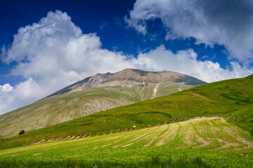Fototapeta premium Piano Grande di Castelluccio, mountain and rural landscape
