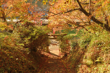 秋の辺春八幡宮「鳥居と石段」