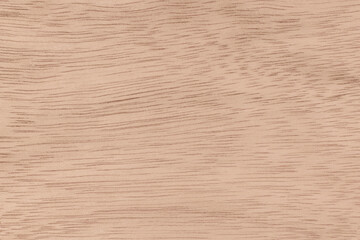 Texture of  Exotic Palado Wood veneer