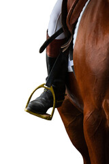 A rider's foot on brown horse looking forward closeup. A woman's horse riding booted foot standing...