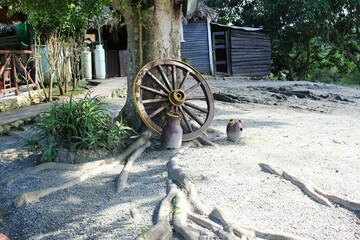 Wooden cart wheel leaning on tree