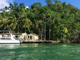 Trees, boat and house by river
