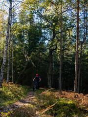 mountainbiker in the forest