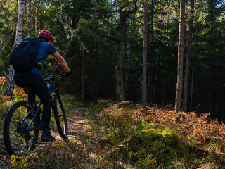 mountain bike rider on the trail in the fall forest of Stockholm