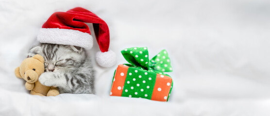 Cute kitten wearing red santa's hat sleeps with gift box under white blanket and hugs favorite toy bear. Empty space for text
