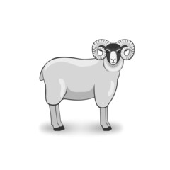Merino ram on white background