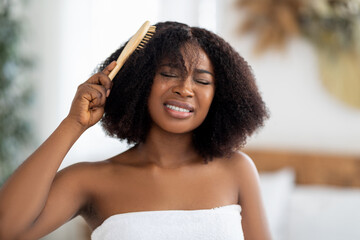 Frustrated millennial black woman trying to brush her tangled hair at home. Domestic hairdressing concept - obrazy, fototapety, plakaty