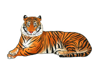 Wildlife and fauna big tigers set, animal cartoon design flat illustrations in different poses, isolated