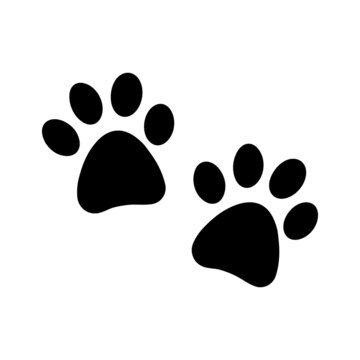2 Dog Paws Glyph Icon Animal Vector 