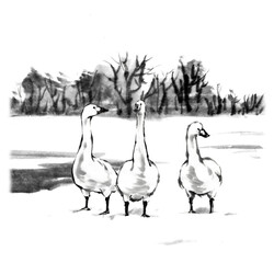 水墨画技法で描いた白鳥と雪景