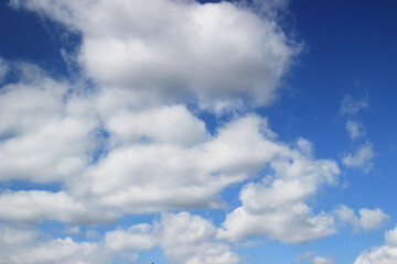 大きな白い雲が浮かぶ秋の青空の写真素材