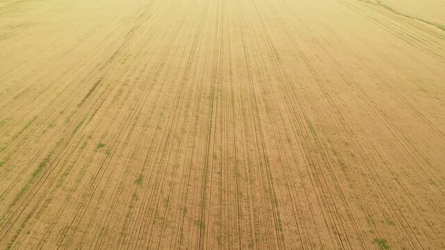 Fly over the field after harvest. Incredible landscapes and textures. The dug-up strips left by the combines form geometric lines stretching parallel to each other to the horizon