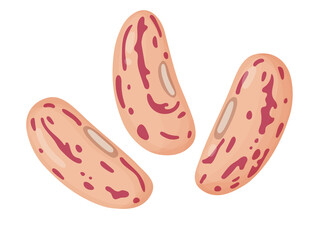 Kidney beans. Beans in cartoon style. Healthy vegetarian food illustration.