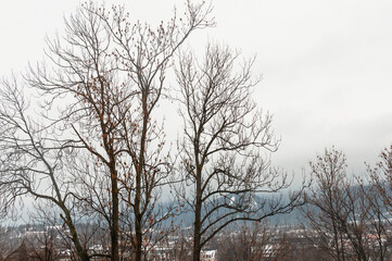 Fototapeta na wymiar Zakopane. Widok, krajobraz z szpitalnego okna na ulicy Gładkie 1.