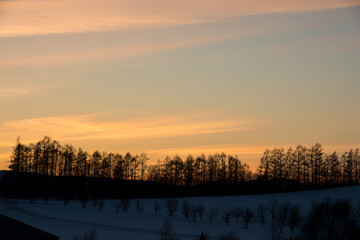 美しい冬の夕焼空
